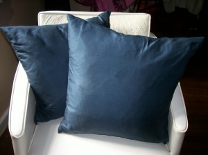 Blue Goodwill Pillows